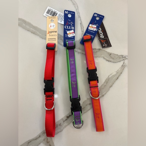 Lupine Basics Dog Collar Set - Picture 1 of 2